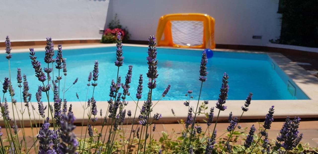 Guest House Bizjak Vinkuran Exterior foto