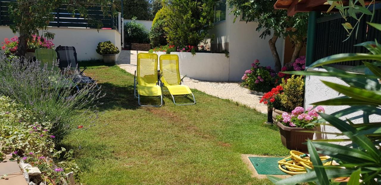 Guest House Bizjak Vinkuran Exterior foto