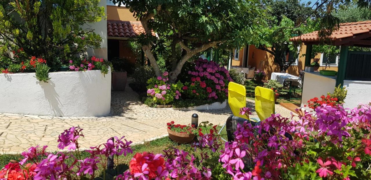 Guest House Bizjak Vinkuran Exterior foto