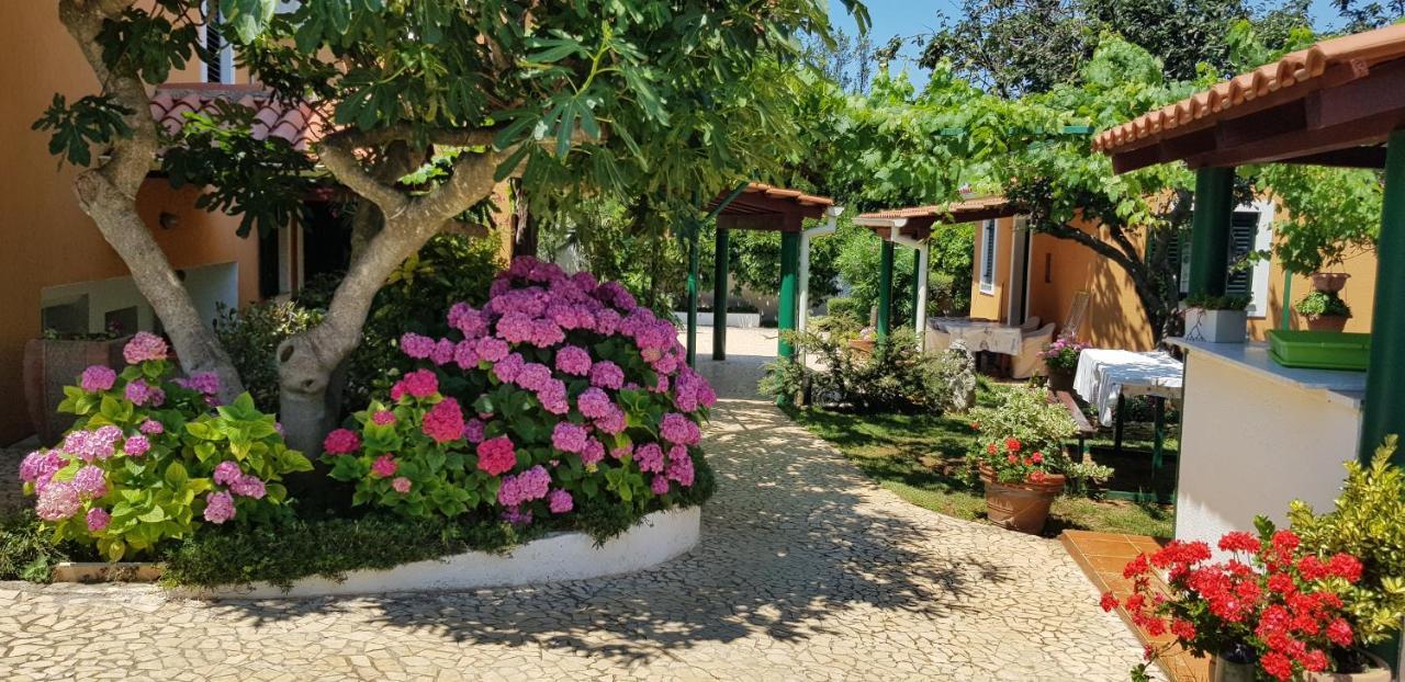 Guest House Bizjak Vinkuran Exterior foto